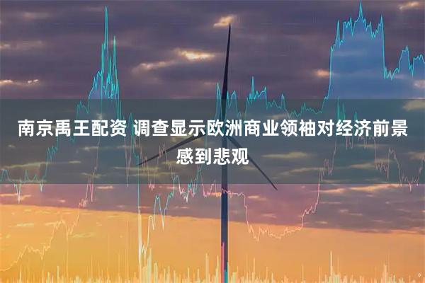 南京禹王配资 调查显示欧洲商业领袖对经济前景感到悲观