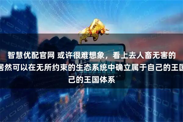 智慧优配官网 或许很难想象，看上去人畜无害的猫咪居然可以在无所约束的生态系统中确立属于自己的王国体系