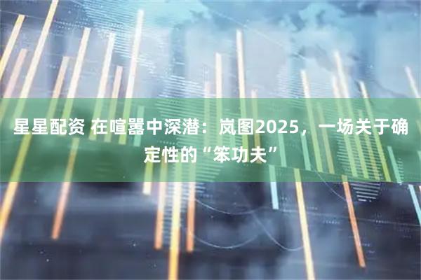 星星配资 在喧嚣中深潜：岚图2025，一场关于确定性的“笨功夫”