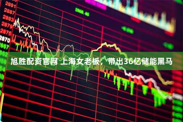 旭胜配资官网 上海女老板,带出36亿储能黑马